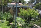 Reefton VICvegetable-gardens-12.jpg; ?>