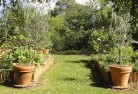 Reefton VICvegetable-gardens-3.jpg; ?>